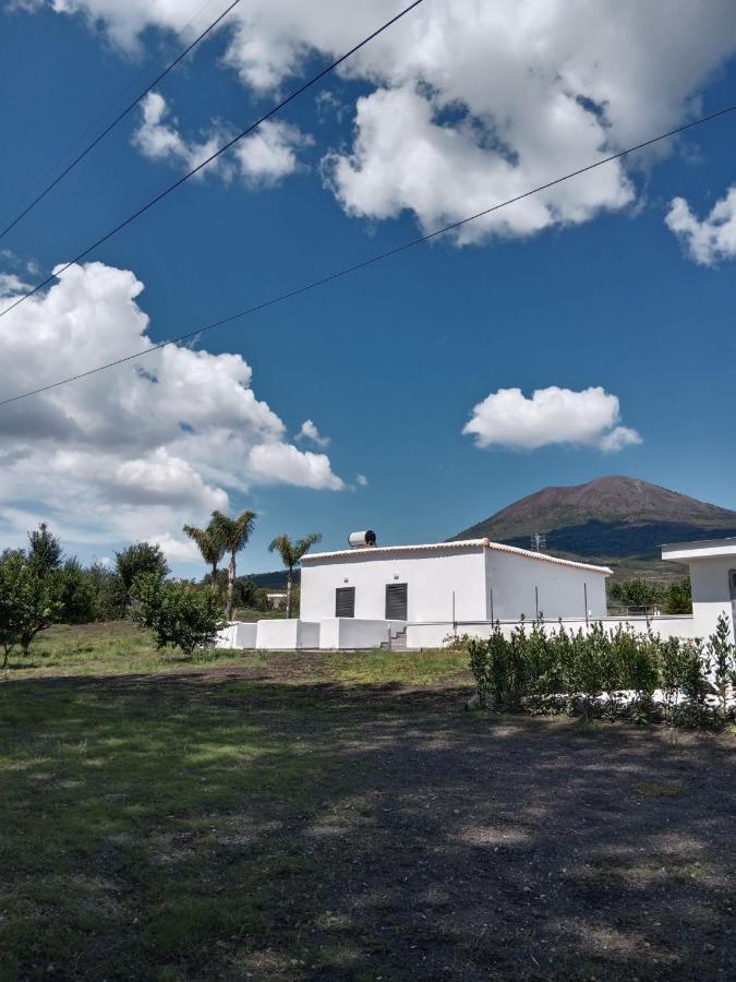 Vesuvio Casa De Charme Bed & Breakfast Trecase Ngoại thất bức ảnh